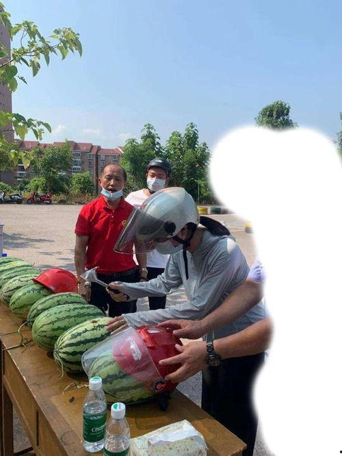 兖州北湖吃瓜事件视频最新,一场引发热议的网络视频风波