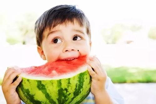 吃瓜综艺沙雕动画视频,沙雕动画视频带你笑翻全场