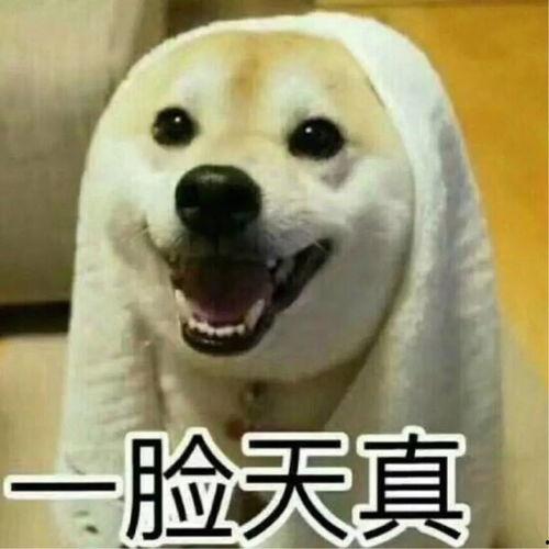 带你吃瓜解说沙雕视频,带你吃瓜解说大揭秘