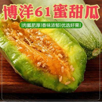 博洋吃蜜瓜视频,蜜瓜视频引发网友热议