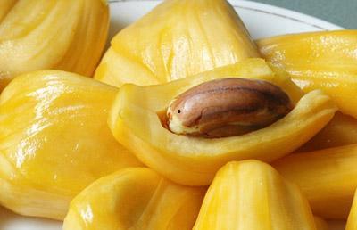 阿瓜吃菠萝蜜视频大全免费观看,免费观看视频大全