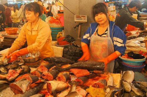 三亚新婚吃瓜视频大全,甜蜜瞬间大盘点