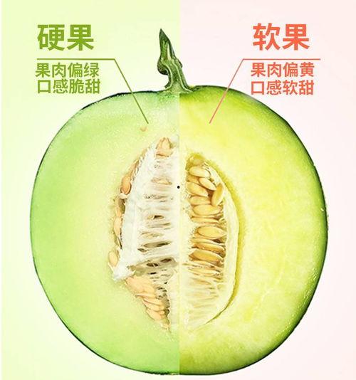 小夫吃高级蜜瓜视频下载,视频下载尽享甜蜜时光