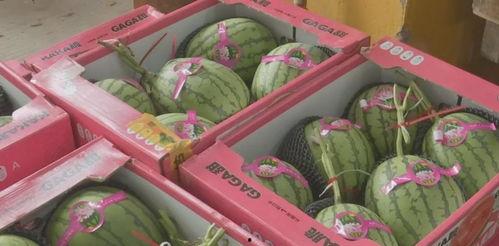 吃瓜资源福利视频,带你领略视觉盛宴