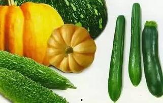 吃瓜视频模板童年,那些年我们一起吃瓜的日子