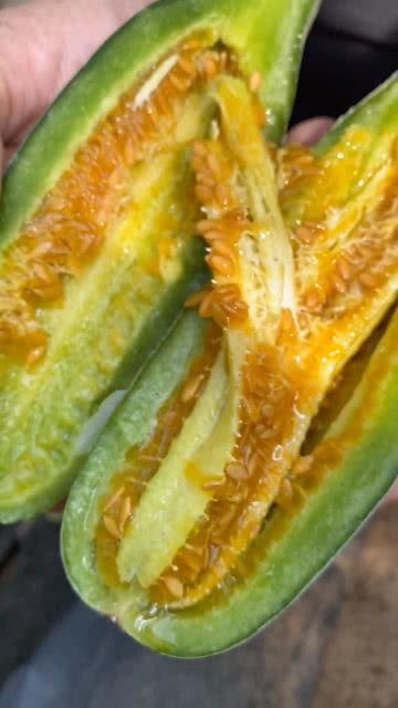 华县吃瓜视频,揭秘当地特色美食背后的故事