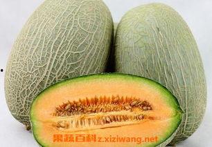 买哈密瓜吃不起怎么办视频,哈密瓜吃不起？教你几招经济实惠的替代方案