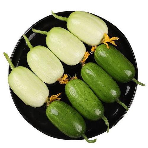 家里瓜怎么吃最好吃视频,解锁瓜类食材的最佳食用方法