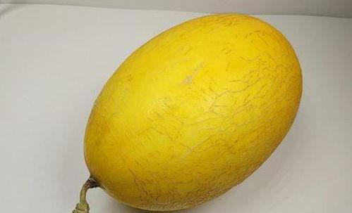 美颜吃哈密瓜视频